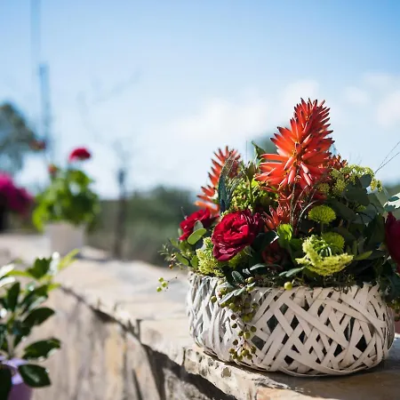 Casa vacanze Sofias Argostoli