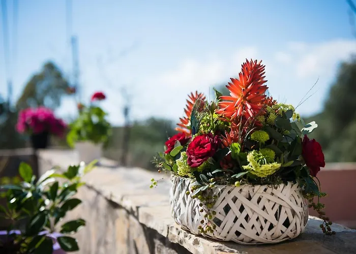 Сasa de vacaciones Sofias Argostoli